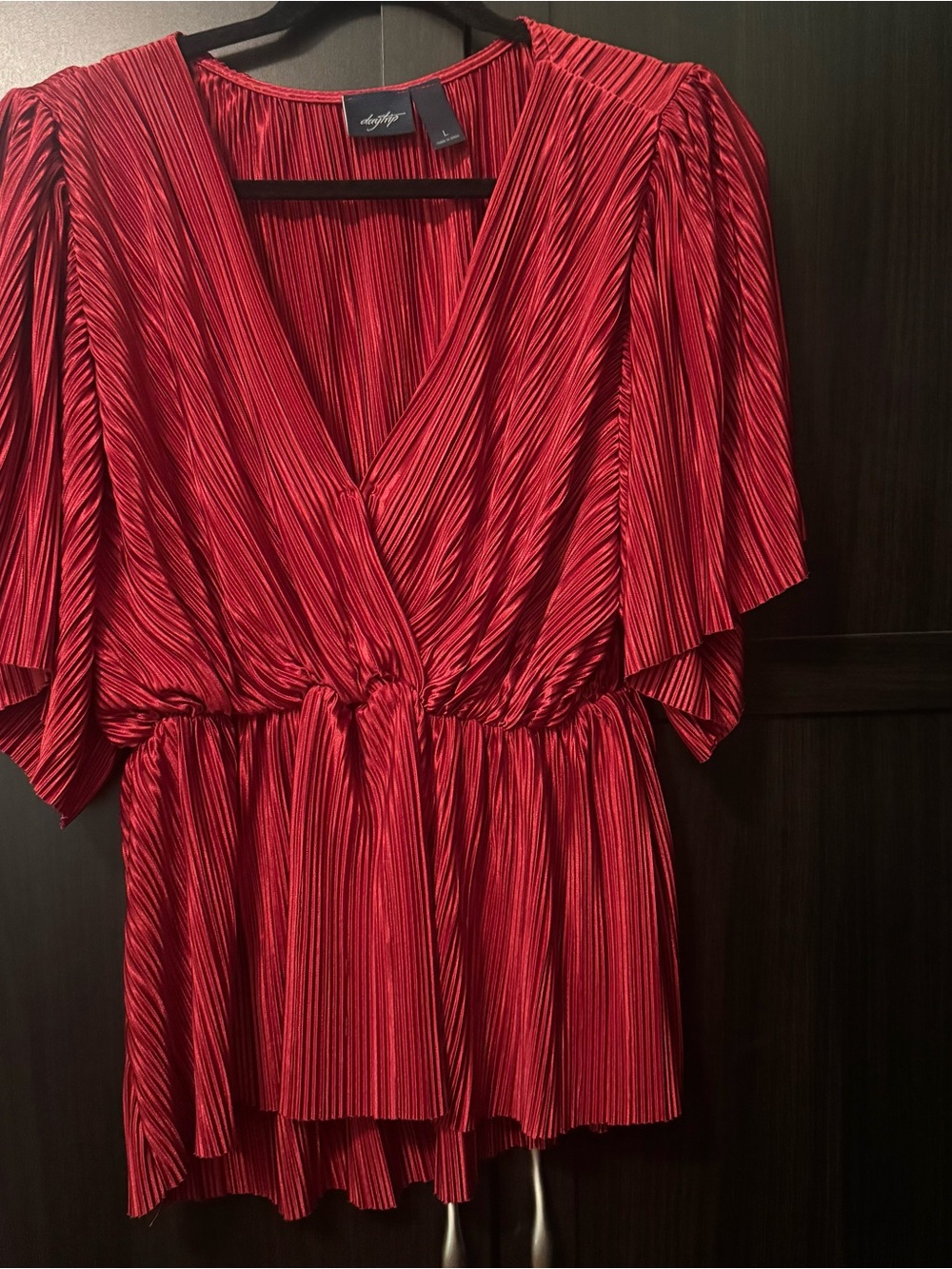 Daytrip Red Pleated V-Neck Blouse